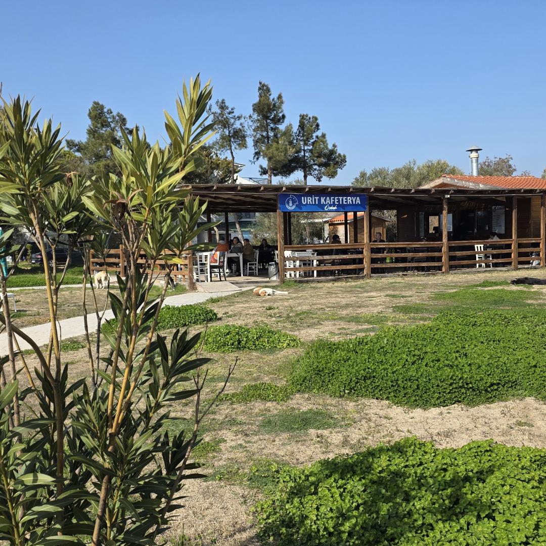 Özbek Kafe